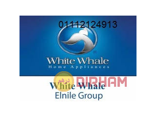 شركة وكيل وايت ويل بركة السبع 01283377353