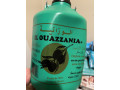 2-litre-huile-dolive-el-ouzzania-a-vendre-small-0
